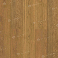 Изображение Дуб Натуральный