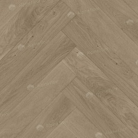 Изображение Дуб Милкшейк